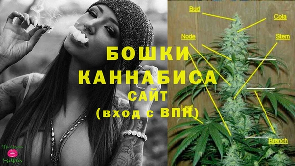 молекула духа Надым