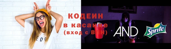 сатива Михайлов
